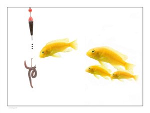 模型压缩
